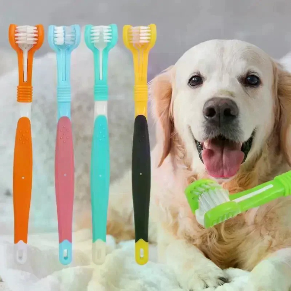 แปรงสีฟันสัตว์เลี้ยง 3 ด้าน สำ - Teeth Whitening Brush บทวิจารณ์และราคา