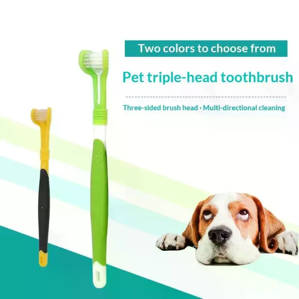 แปรงสีฟันสัตว์เลี้ยง 3 ด้าน สำ - Teeth Whitening Brush บทวิจารณ์และราคา