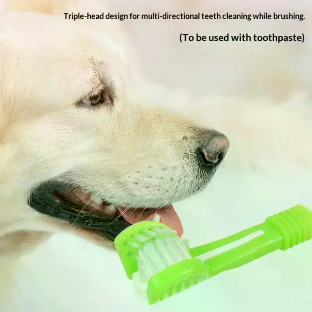 แปรงสีฟันสัตว์เลี้ยง 3 ด้าน สำ - Teeth Whitening Brush บทวิจารณ์และราคา