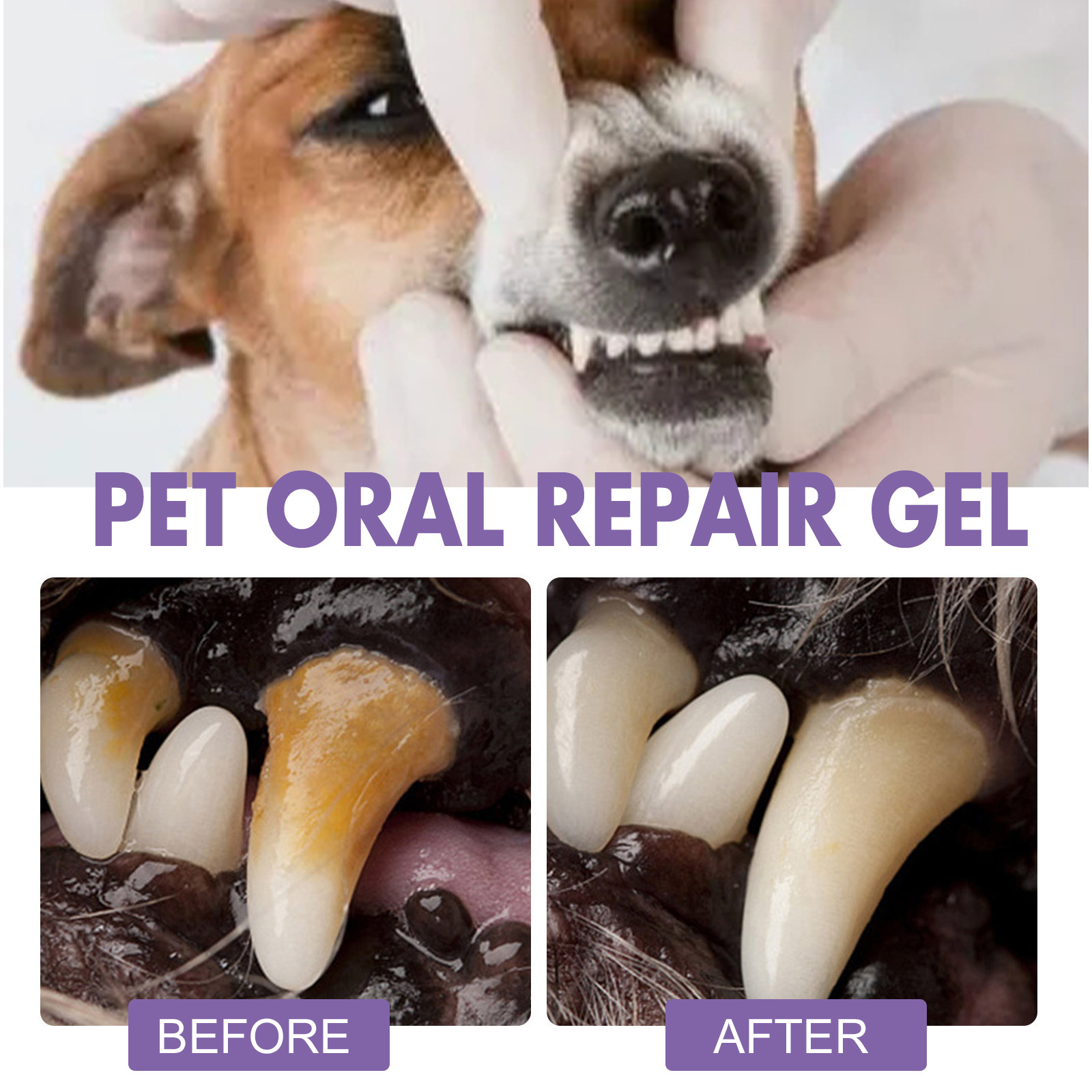 สัตว์เลี้ยง Oral Repair GEL Pu - Teeth Whitening Clinic บทวิจารณ์และราคา